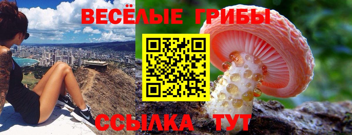 купить  сайты  Вход с VPN  Новосибирск  Галлюциногенные грибы мухоморы 